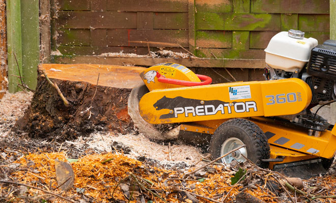 Ayrshire Stump Removal