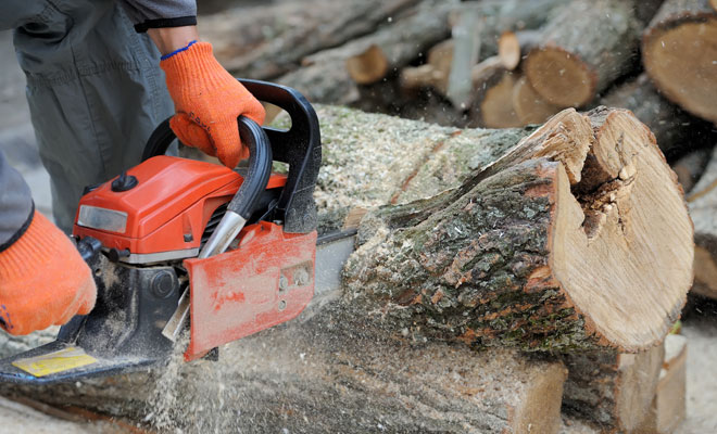 Ayrshire Tree Removal