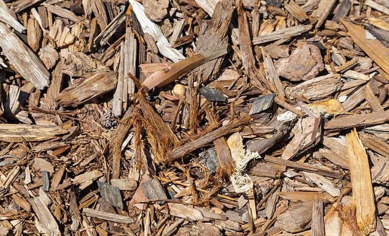 Wood Chips