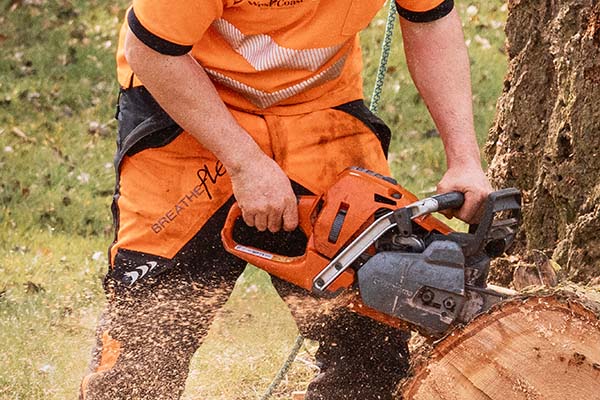 Tree Removal Ayrshire
