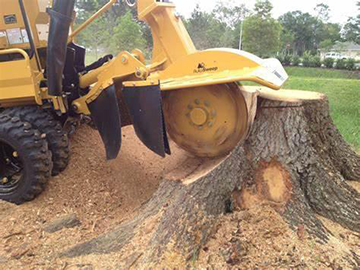 Stump Removal Kilwinning Stump Removal Kilwinning