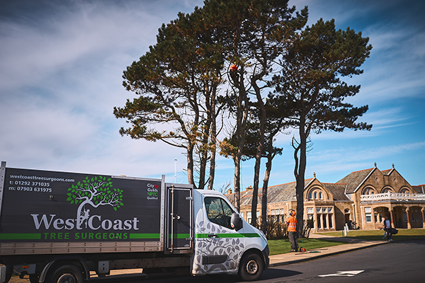 Tree Surgeons Troon Tree Surgeons Troon